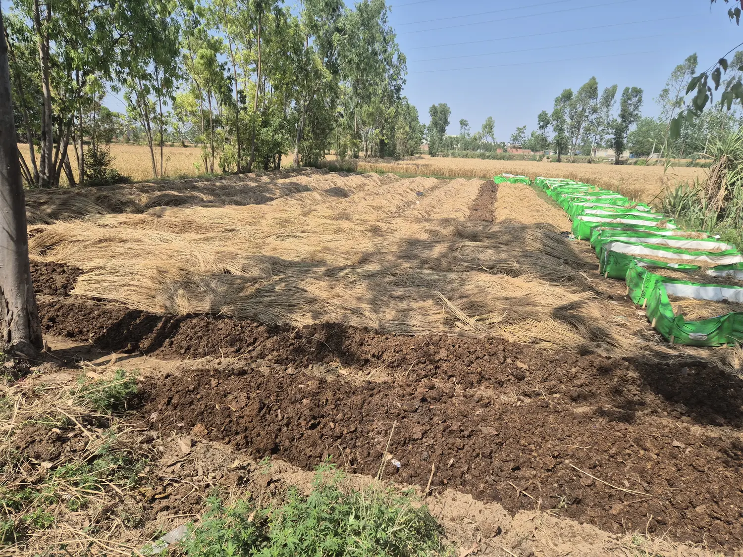 20250413_143210 (1).webp